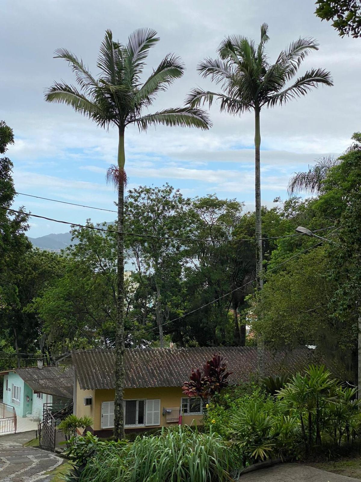 Recanto Floripa Residencial Florianopolis Bagian luar foto